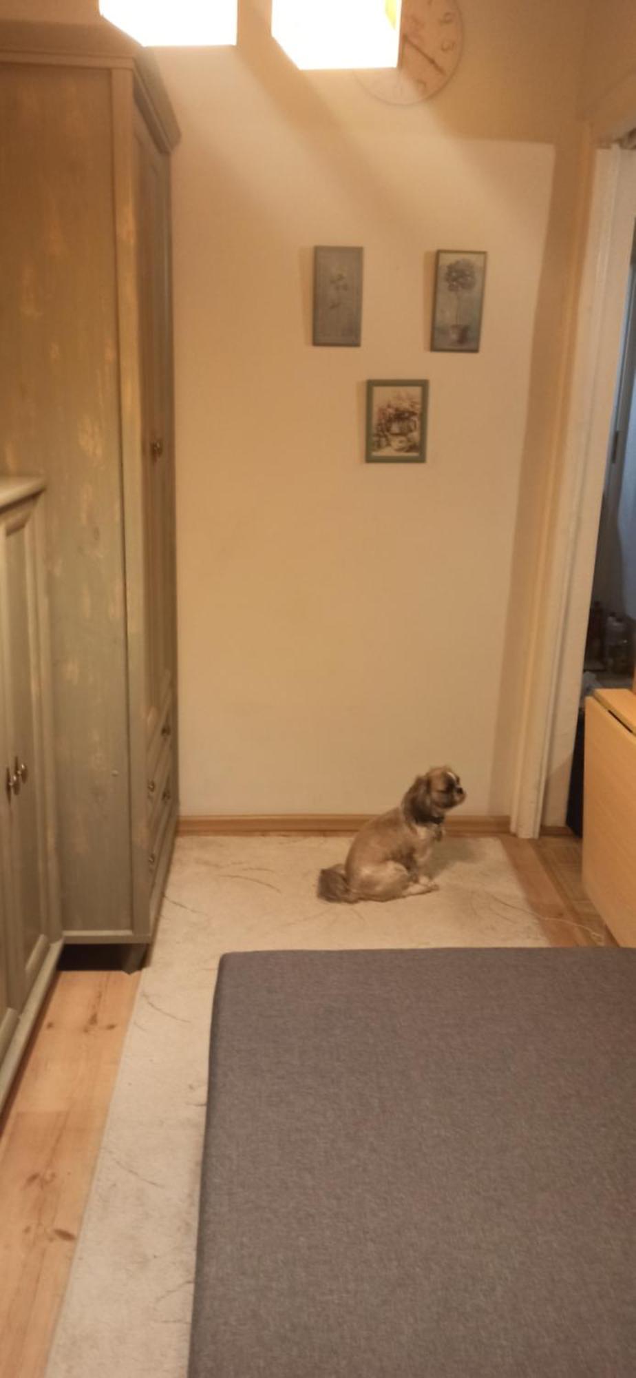 Cichy Zakatek Kolobrzeg Kołobrzeg Exterior foto